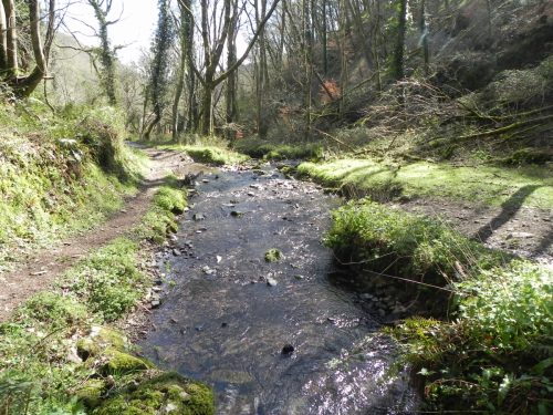 124.-Looking-downstream-from-ROW-Bridge-3332