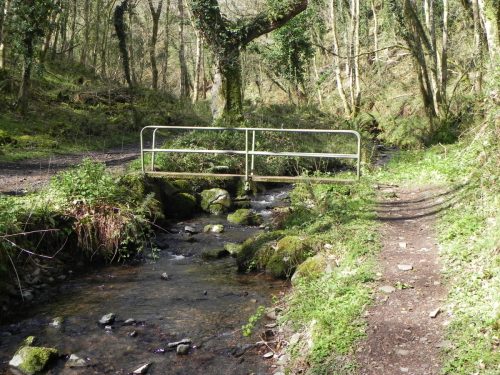 125.-Looking-upstream-to-ROW-Bridge-3332