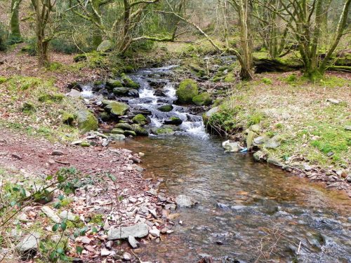 126.-Looking-upstream-from-Cabinet-Walk-Footbridge-2