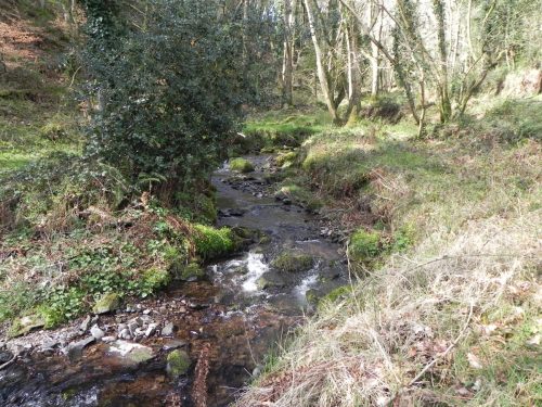 127.-Downstream-from-ROW-Bridge-3332