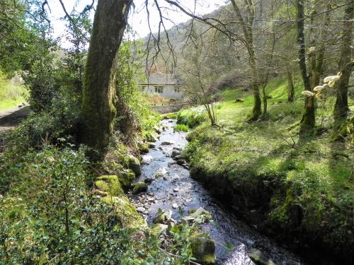 128.-Downstream-from-ROW-Bridge-3332-2