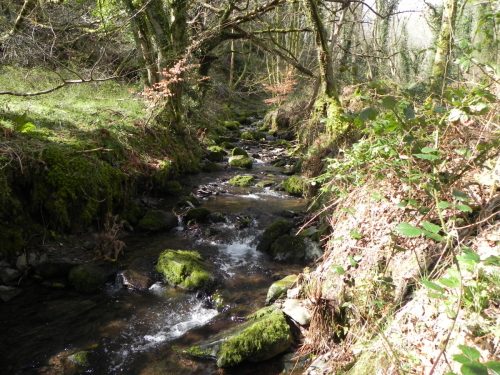 129.-Downstream-from-ROW-Bridge-3332
