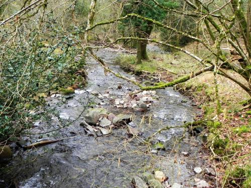 129.-Looking-downstream-from-Cabinet-Walk-Footbridge-2