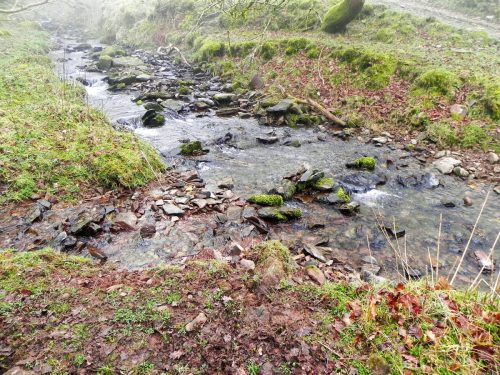 13-Waters-join-from-Sweetworthy-Combe-2