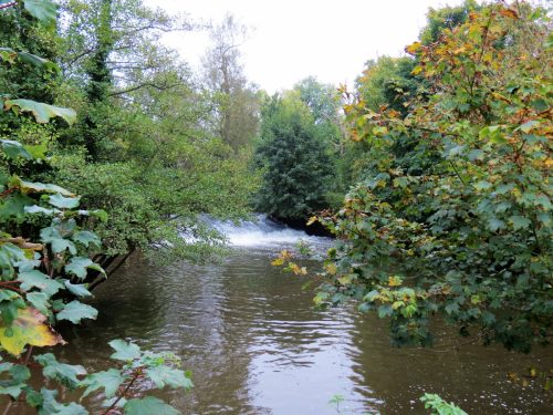 13.-Bradford-Mill-weir-2