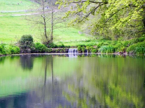 13.-Chargot-House-pond-6