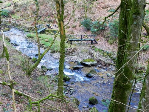 13.-Dippers-Lodge-garden-bridge-2