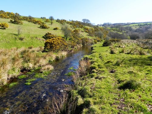 13.-Downstream-from-Cloggs-Farm-2