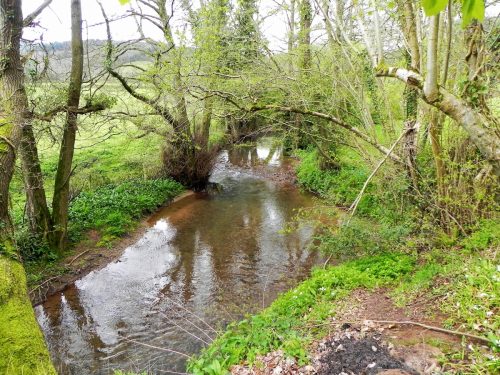 13.-Downstream-from-Dulverton-Mill-Leat-weir-2