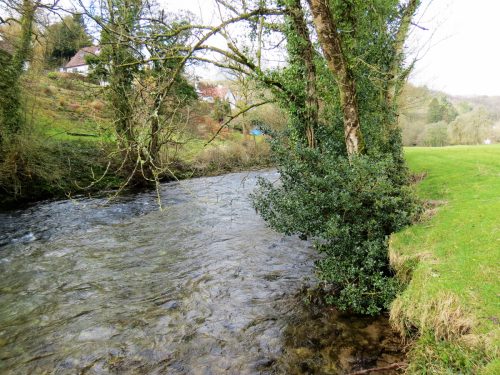 13.-Downstream-from-Dulvertun-6