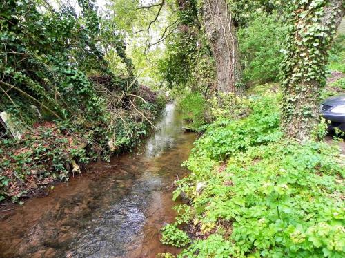 13.-Downstream-from-Dunster-Mill-Leat-Weir-2