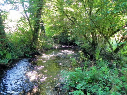 13.-Downstream-from-Gardeners-Bridge-2