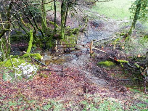 13.-Downstream-from-Little-ash-Combe-2