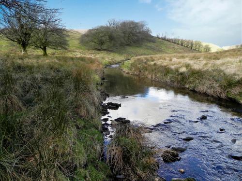 13.-Downstream-from-Long-Holcombe-Water-2