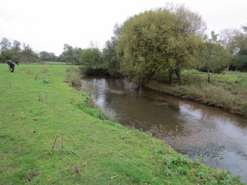 13.-Downstream-from-Perrys-Bridge-2
