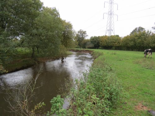 13.-Downstream-from-Perrys-Bridge-4