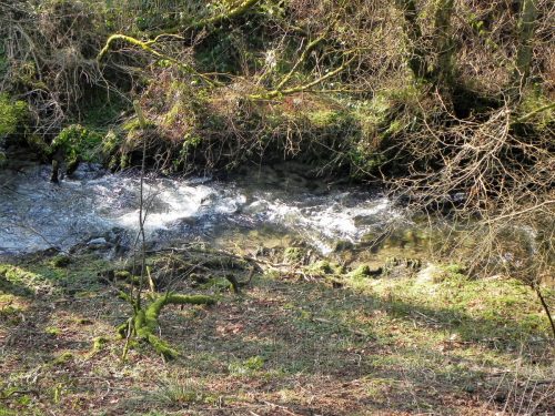 13.-Downstream-from-ROW-Bridge-2119-2