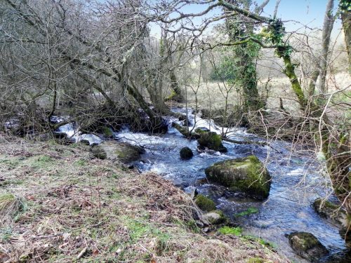 13.-Downstream-from-ROW-bridge-2122-2