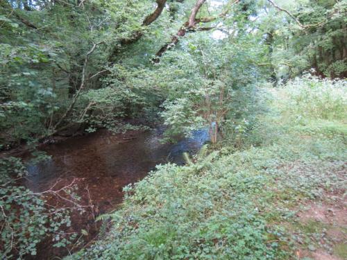 13.-Downstream-from-Stawley-Mill-weir