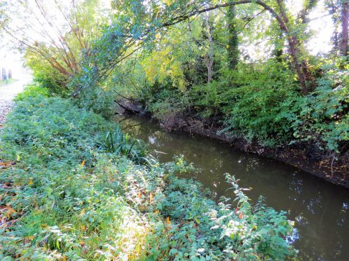 13.-Downstream-from-Steps-Water-join-2