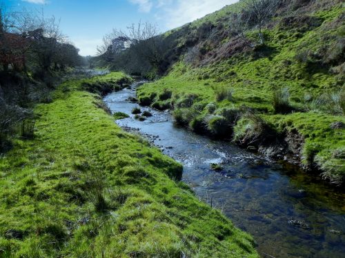 13.-Downstream-from-Upper-Willingford-Bridge-2