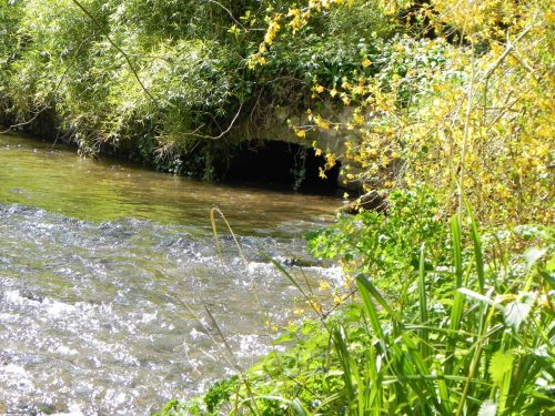 13.-Dulverton-Mill-leat-Outlet-2