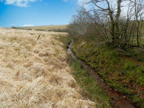 13.-Early-stream-approx-500-metres-from-source-2