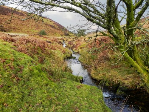 13.-Flowing-below-Black-Berrow-2