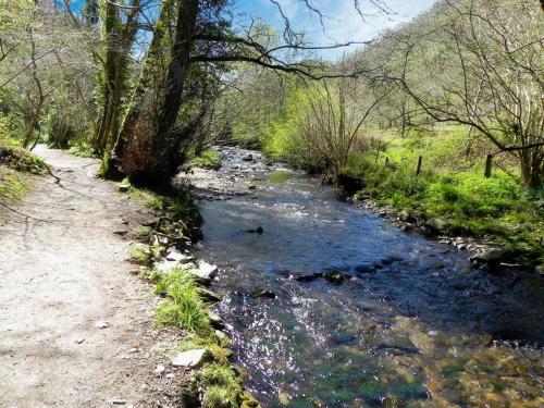 13.-Flowing-below-Heddon-Mouth-Wood-2