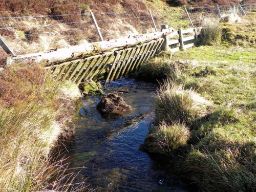 13.-Flowing-below-Hoccombe-Hill-2
