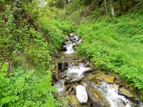 13.-Flowing-through-Chargot-Woods-12
