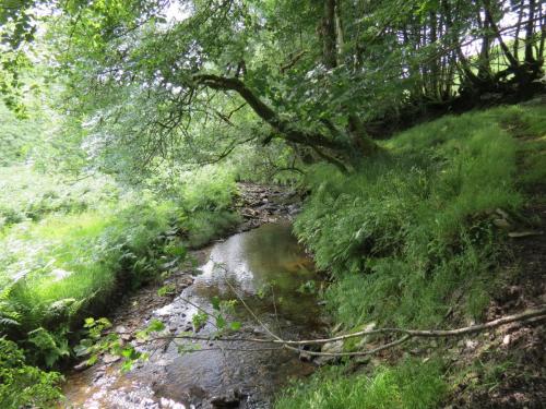 13.-Flowing-through-Exe-Cleave-upstream-from-Warren-Bridge-1