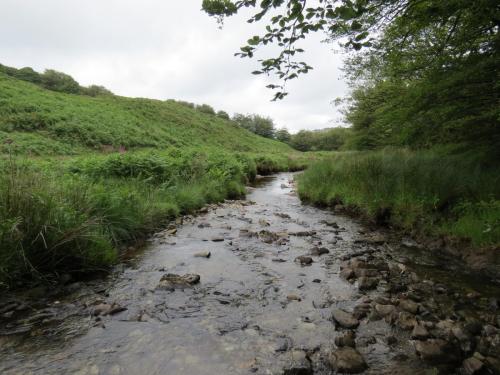 13.-Flowing-through-Exe-Cleave-upstream-from-Warren-Bridge-11