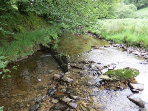 13.-Flowing-through-Exe-Cleave-upstream-from-Warren-Bridge-12