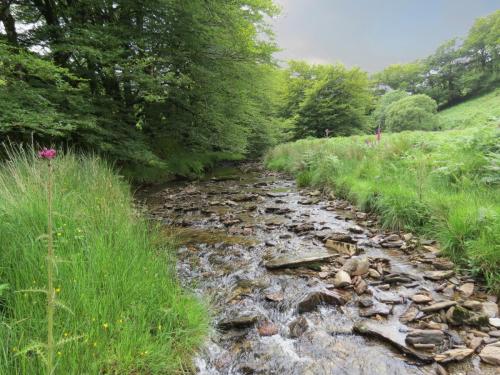 13.-Flowing-through-Exe-Cleave-upstream-from-Warren-Bridge-13