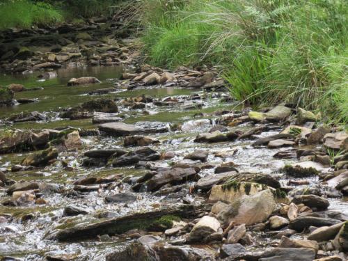 13.-Flowing-through-Exe-Cleave-upstream-from-Warren-Bridge-14