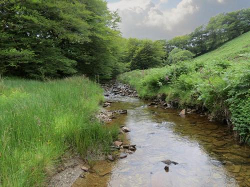 13.-Flowing-through-Exe-Cleave-upstream-from-Warren-Bridge-15