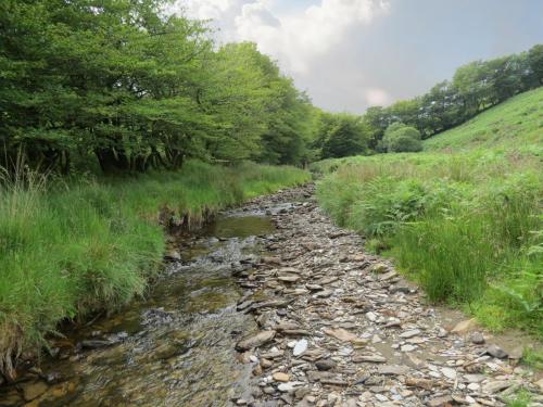 13.-Flowing-through-Exe-Cleave-upstream-from-Warren-Bridge-16