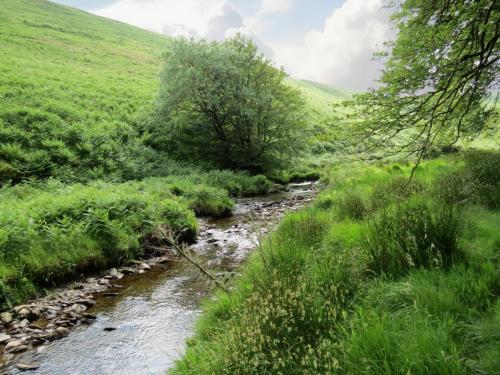 13.-Flowing-through-Exe-Cleave-upstream-from-Warren-Bridge-4