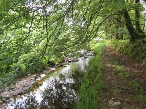 13.-Flowing-through-Exe-Cleave-upstream-from-Warren-Bridge-5