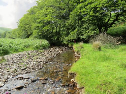 13.-Flowing-through-Exe-Cleave-upstream-from-Warren-Bridge-6