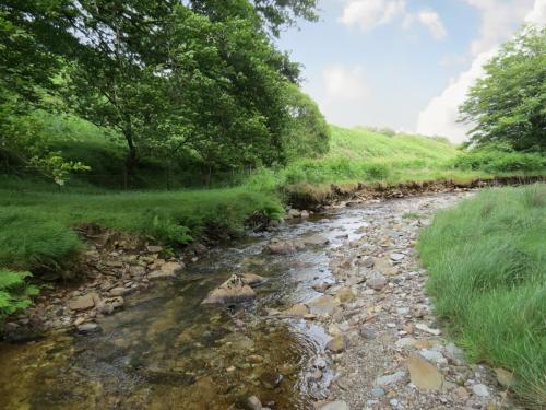 13.-Flowing-through-Exe-Cleave-upstream-from-Warren-Bridge-7