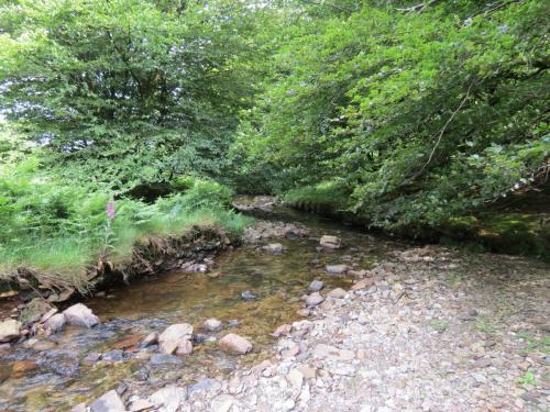 13.-Flowing-through-Exe-Cleave-upstream-from-Warren-Bridge-8