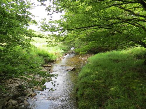 13.-Flowing-through-Exe-Cleave-upstream-from-Warren-Bridge-9