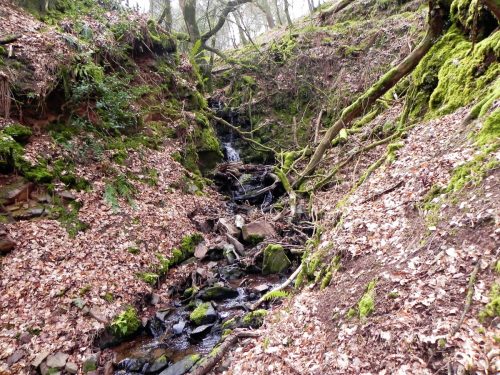 13.-Flowing-through-Luccombe-Plantation-2