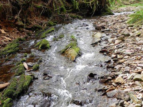 13.-Flowing-through-Snowdrop-Valley-2