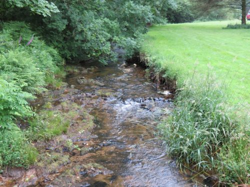 13.-Flowing-through-Westermill-Farm-campsite-7