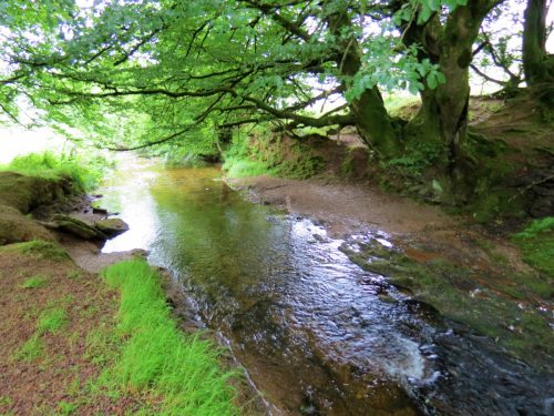 13.-Flowing-through-Westermill-Farm-campsite-8