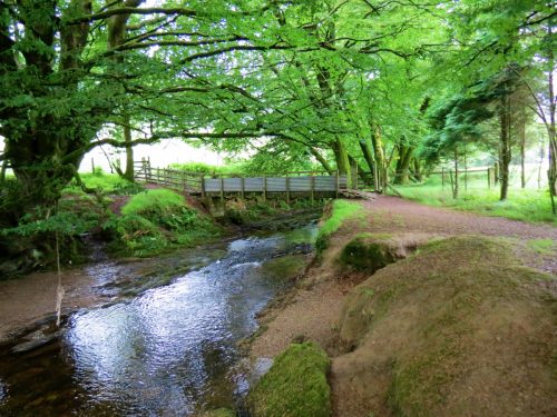 13.-Flowing-through-Westermill-Farm-campsite-9