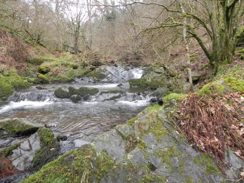 13.-Flowing-through-Wilmersham-Wood